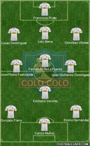 CSD Colo Colo Formation 2013