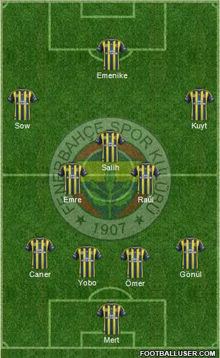 Fenerbahçe SK Formation 2013