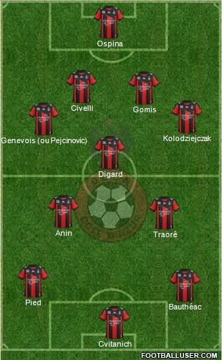 OGC Nice Côte d'Azur Formation 2013