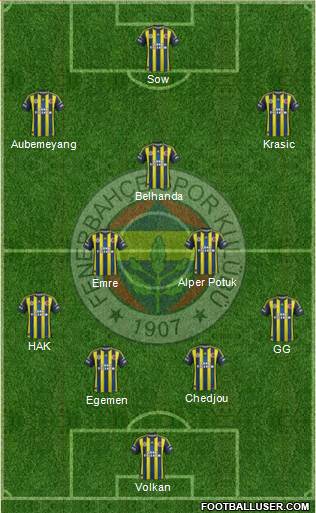 Fenerbahçe SK Formation 2013