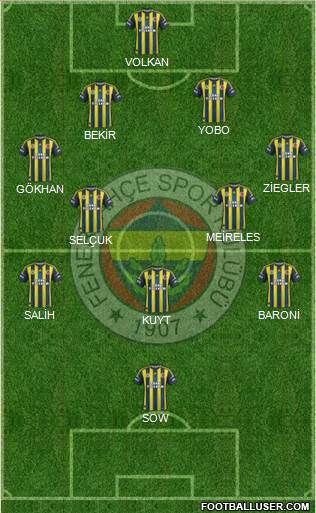 Fenerbahçe SK Formation 2013