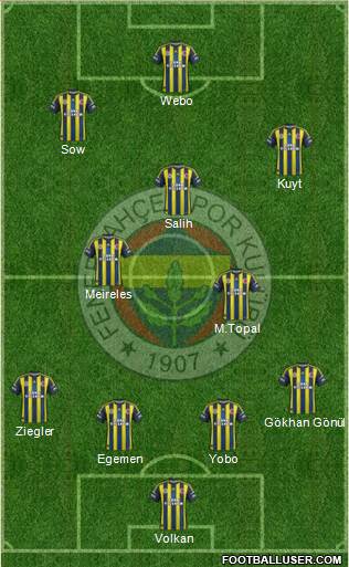 Fenerbahçe SK Formation 2013