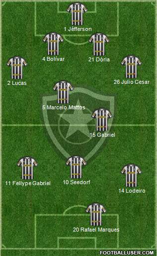 Botafogo FR Formation 2013