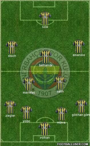 Fenerbahçe SK Formation 2013