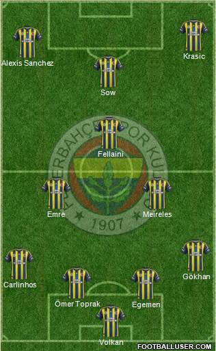 Fenerbahçe SK Formation 2013