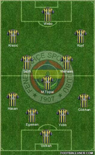 Fenerbahçe SK Formation 2013