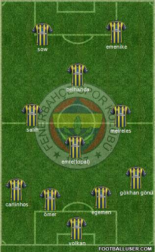 Fenerbahçe SK Formation 2013