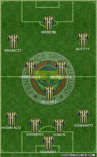 Fenerbahçe SK Formation 2013