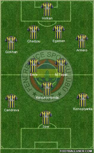 Fenerbahçe SK Formation 2013