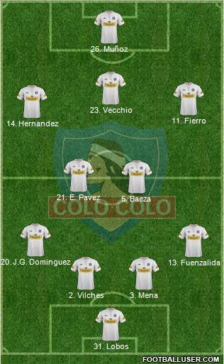 CSD Colo Colo Formation 2013