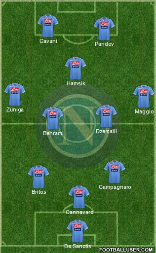 Napoli Formation 2013