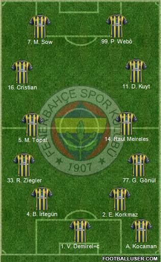Fenerbahçe SK Formation 2013
