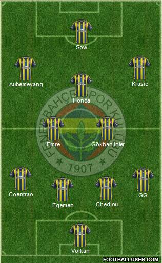 Fenerbahçe SK Formation 2013