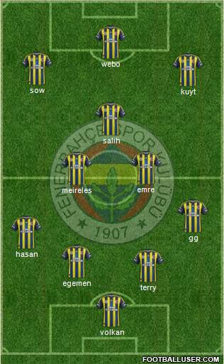 Fenerbahçe SK Formation 2013