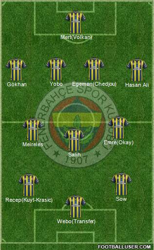 Fenerbahçe SK Formation 2013