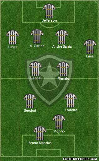 Botafogo FR Formation 2013