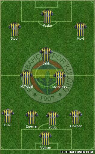 Fenerbahçe SK Formation 2013