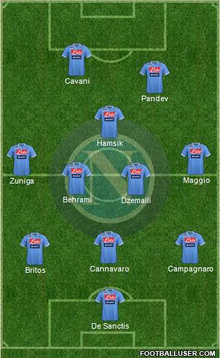 Napoli Formation 2013