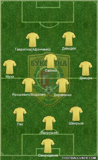 Bukovyna Chernivtsi Formation 2013