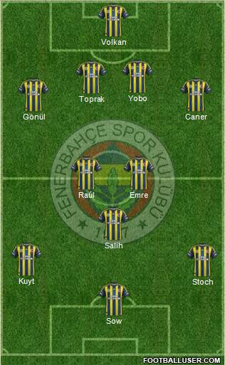 Fenerbahçe SK Formation 2013