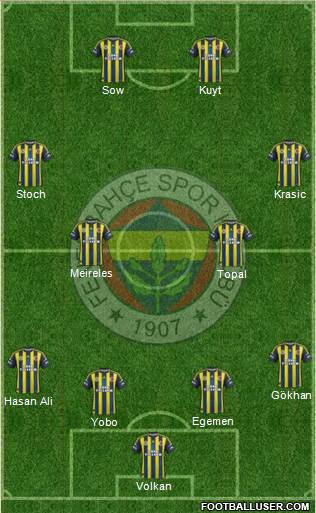Fenerbahçe SK Formation 2013