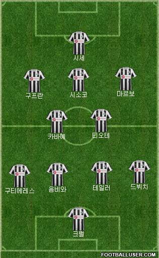 Newcastle United Formation 2013