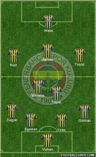 Fenerbahçe SK Formation 2013
