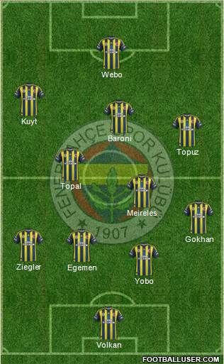 Fenerbahçe SK Formation 2013