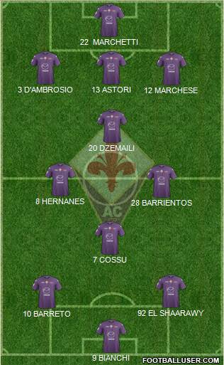 Fiorentina Formation 2013