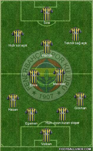 Fenerbahçe SK Formation 2013