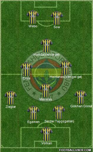 Fenerbahçe SK Formation 2013