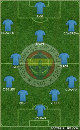 Fenerbahçe SK Formation 2013