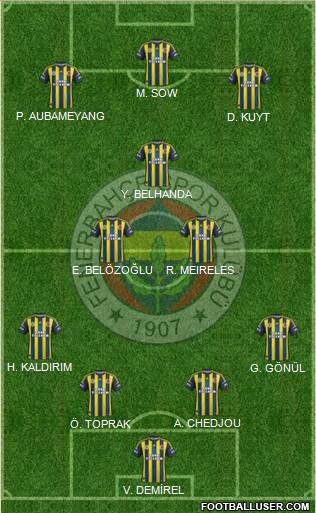 Fenerbahçe SK Formation 2013