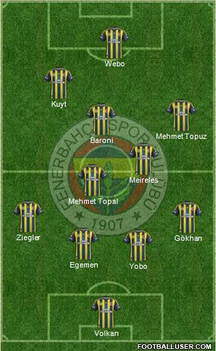 Fenerbahçe SK Formation 2013