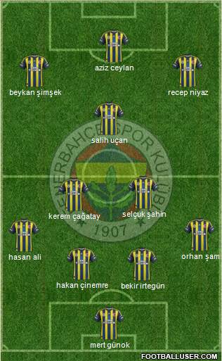 Fenerbahçe SK Formation 2013