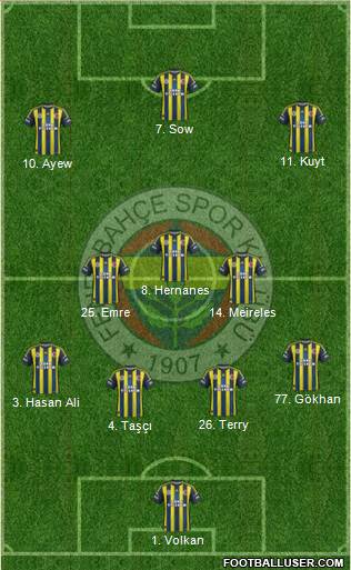 Fenerbahçe SK Formation 2013