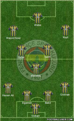 Fenerbahçe SK Formation 2013