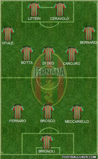 Ternana Formation 2013