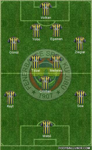 Fenerbahçe SK Formation 2013