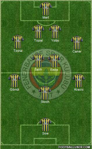 Fenerbahçe SK Formation 2013