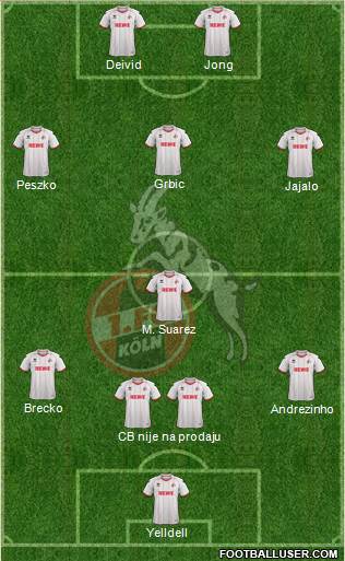 1.FC Köln Formation 2013