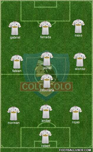 CSD Colo Colo Formation 2013