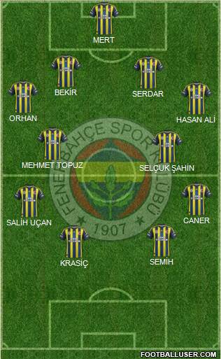 Fenerbahçe SK Formation 2013