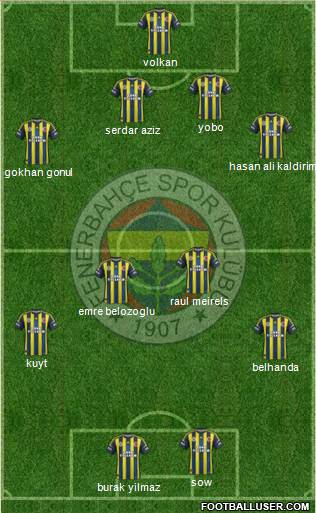 Fenerbahçe SK Formation 2013