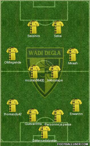 Wadi Degla Sporting Club Formation 2013