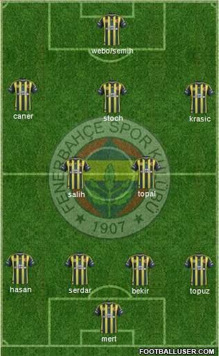 Fenerbahçe SK Formation 2013