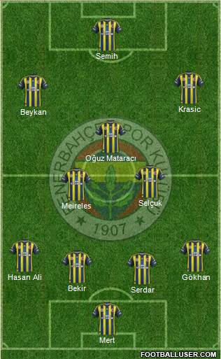 Fenerbahçe SK Formation 2013