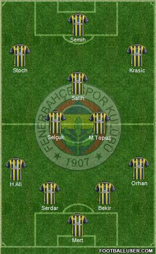 Fenerbahçe SK Formation 2013