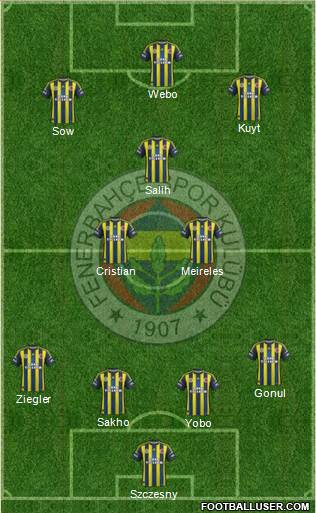 Fenerbahçe SK Formation 2013
