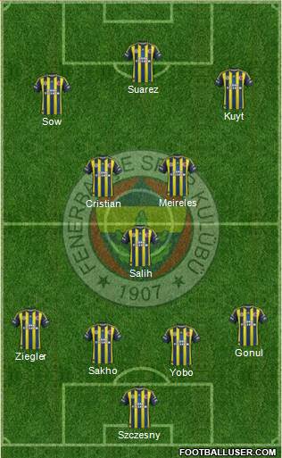 Fenerbahçe SK Formation 2013